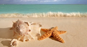 1-seashells-on-the-beach