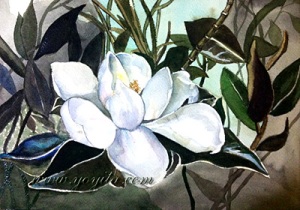 magnolia-watercolor-yoyita-s