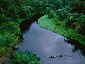 rain-forest-canoe-congo